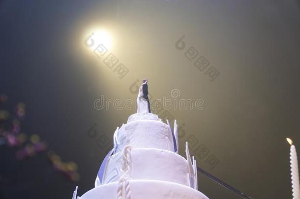 婚礼蛋糕在下面指已提到的人聚光灯