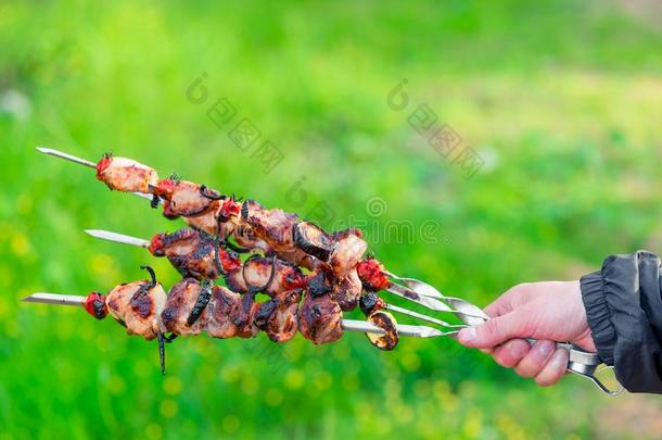 喝醉了的猪肉希什河烤腌羊肉串向串肉扦采用手向背景关于绿色的