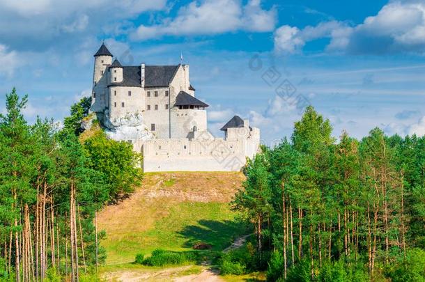 波波利斯,波兰-八月13,2017:中古的城堡关于波波利斯