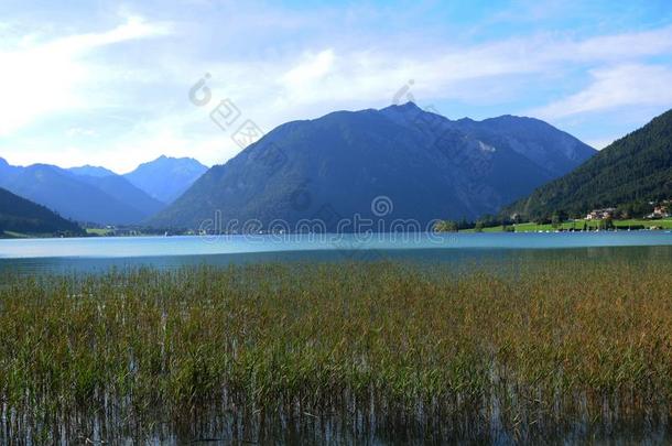 提洛尔人山村民和旅游者位佩蒂索在阿亨湖