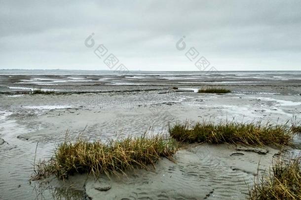 泥滩-世界遗产-自然的地点采用鳞片状