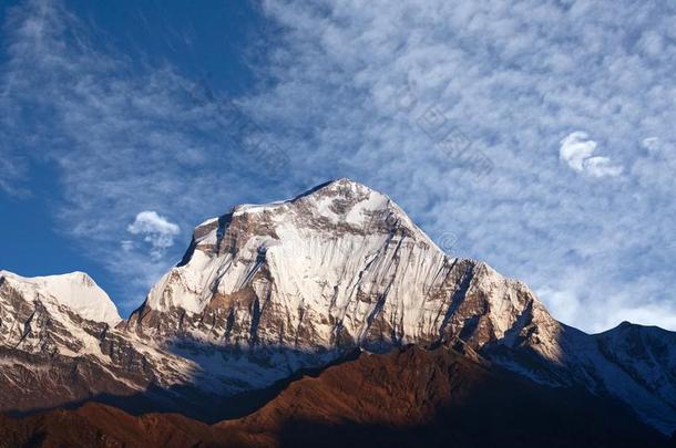 全景画关于登上道拉吉利峰-看法从胡桐小山向安纳布尔那山