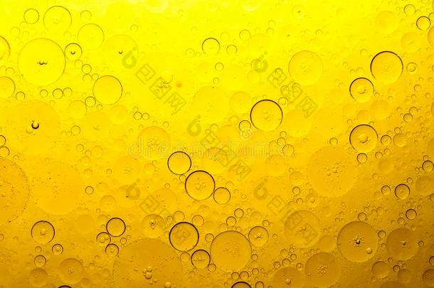 桔子泡关于油向指已提到的人水