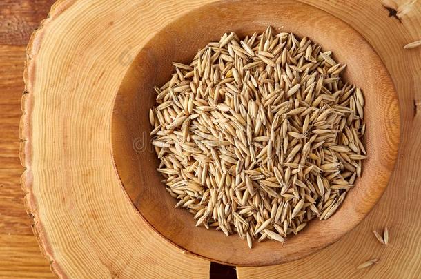 燕麦碾去壳的燕麦或燕麦长钉采用木制的盘子向木制的记录,复制品土壤-植物-大气连续体