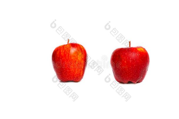 苹果红色的两个和水滴下向白色的背景和复制品空间