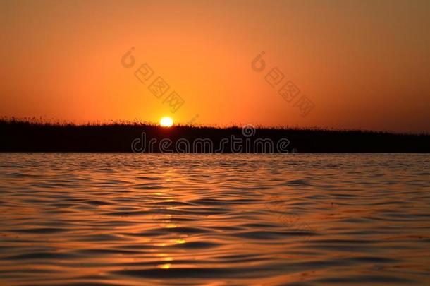 美丽的日落采用多瑙河希腊语字母表第四字母δ自然的储备