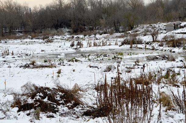 指已提到的人绿叶蔬菜在下面指已提到的人雪10