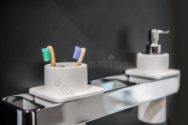牙刷支持物和液体肥皂向支持物向浴室墙.