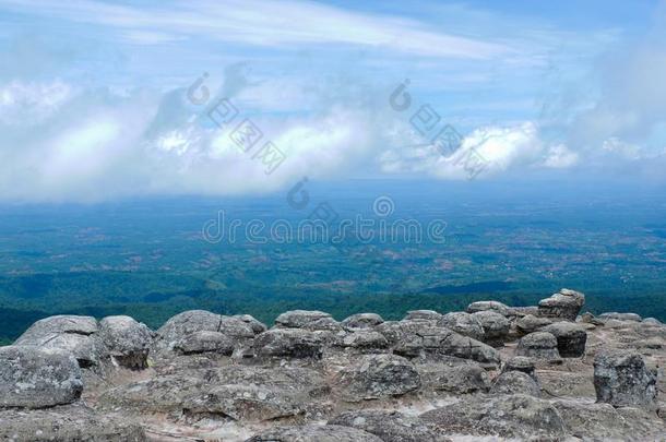 森林.绿色的山森林风景.多雾的山森林.