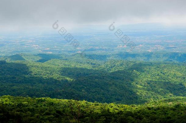 森林.绿色的山森林风景.多雾的山森林.