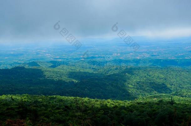 森林.绿色的山森林风景.多雾的山森林.