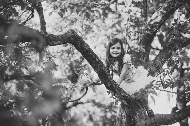 小孩小孩hood小孩ren幸福观念.小孩微笑向树