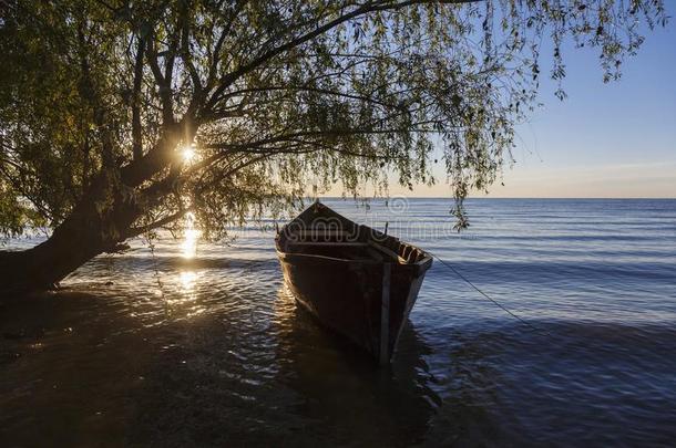 老的小船向指已提到的人湖在日出,罗马尼亚