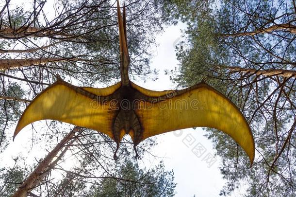 恐龙模型无齿翼龙采用飞行采用恐龙公园