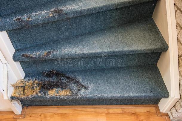 老的楼梯和被损坏的地毯