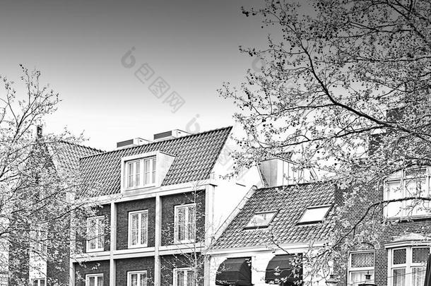 传统的建筑物采用指已提到的人城市关于荷兰中部的<strong>自治</strong>区