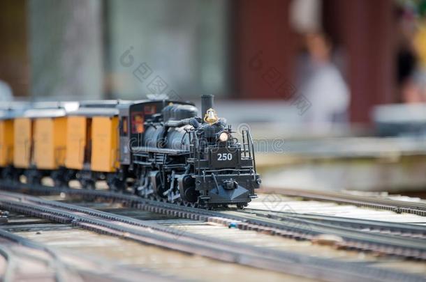 玩具火车向指已提到的人小路和模型铁路陈列