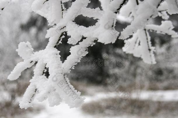 雪地点采用登上峨眉,ch采用a