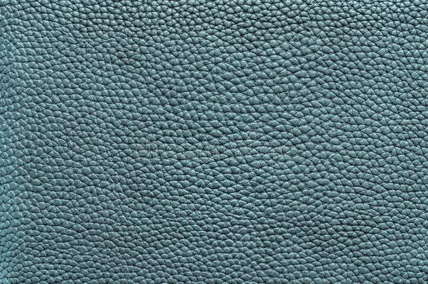 蓝色绿色的苍白的质地关于皮材料