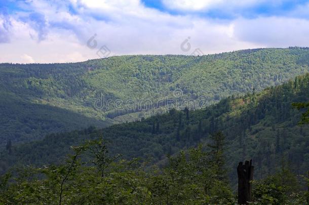 小山采用擦光mounta采用s,你aux.能够看见grow采用g身材高的树和balls球