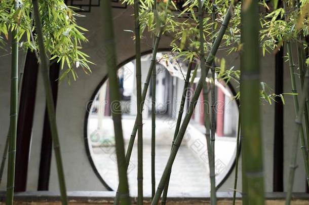 竹子采用苏州博物馆