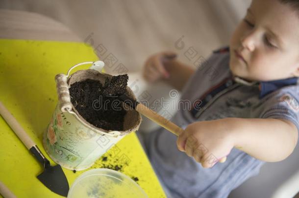 两个年男孩园艺陶器制造植物