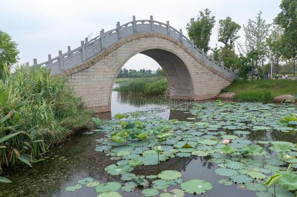 石头弓形桥-<strong>南昌</strong>喜欢湖潮湿的土壤公园