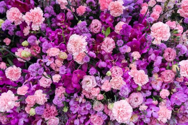 各种各样的粉红色的和紫色的花背景,顶看法