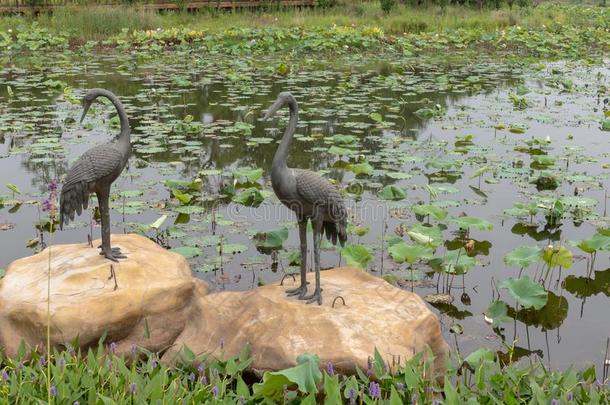 鹤铜雕刻-南昌喜欢湖潮湿的土壤公园