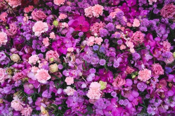 各种各样的粉红色的和紫色的花背景,顶看法