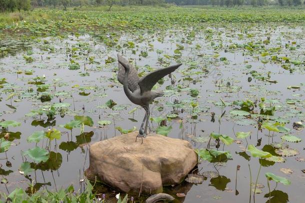 鹤铜雕刻-南昌喜欢湖潮湿的土壤公园
