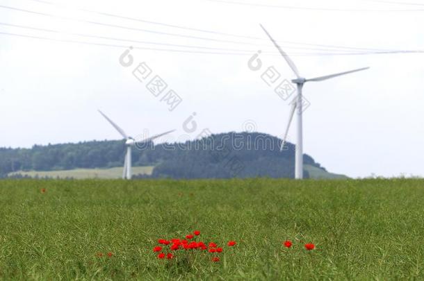 风景关于替代的能量采用德国.