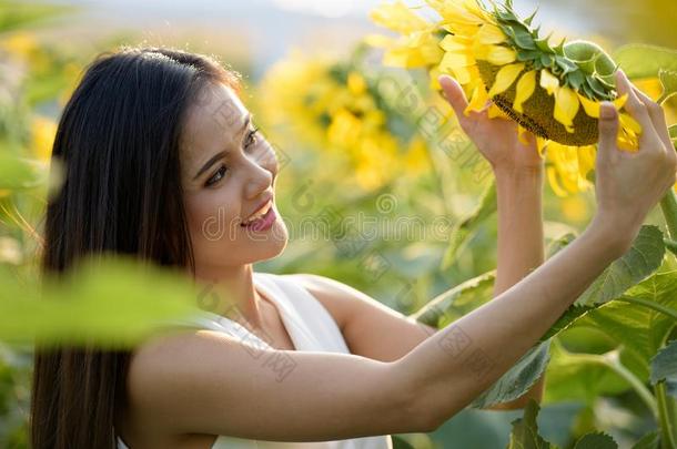 年幼的幸福的亚洲人女人微笑的和有样子的在向日葵采用指已提到的人