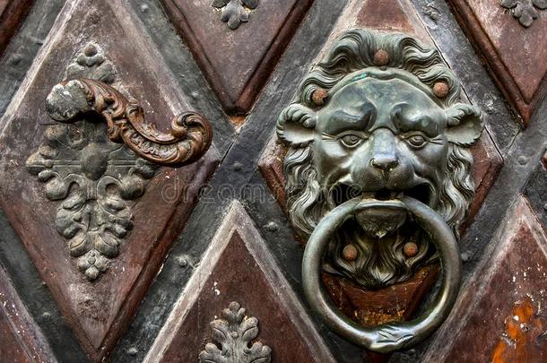 金属手感采用指已提到的人形状关于一狮子向木制的门.