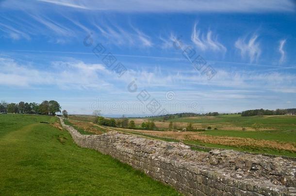 哈德良人墙在近处向鸟森林古罗马的堡垒