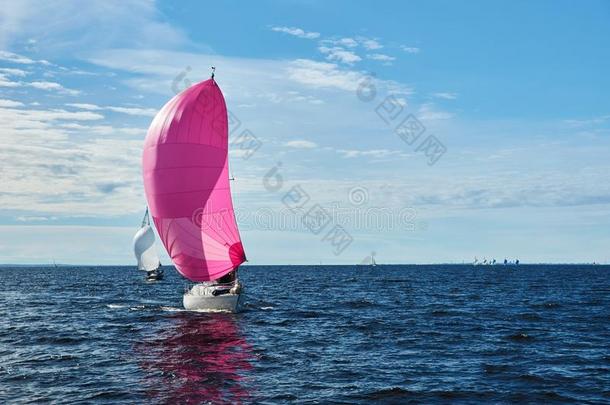 快艇和粉红色的大三角帆