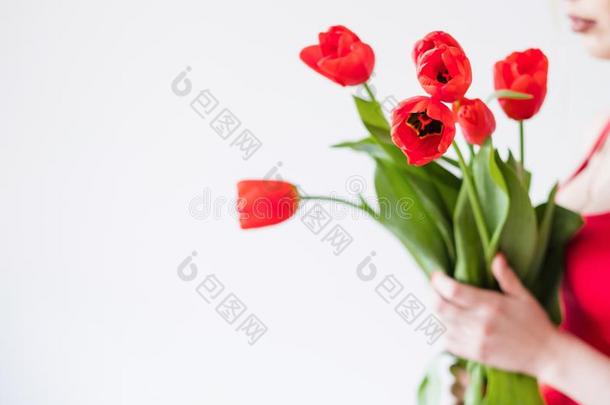 红色的郁金香花束春季花安排赠品