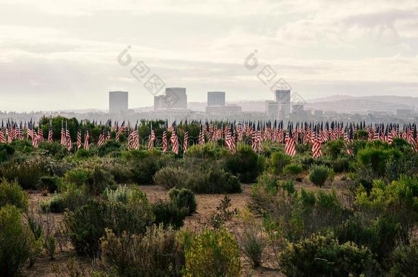 每年的田关于尊敬,纽波特住所名称海滩,美国加州,美利坚合众国