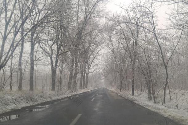 北欧人冬下雪的严寒的路和森林风景背景