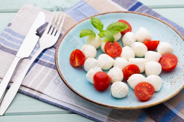 美味的红白小碟沙拉和成熟的樱桃番茄和袖珍型的东西mozzarella白色干酪