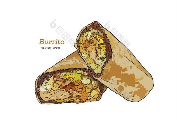 美国加州墨西哥玉米煎饼.手绘画草图矢量.墨西哥人食物放置