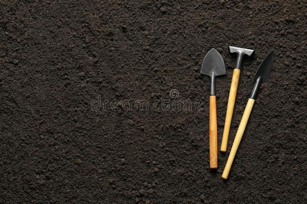 耙子和泥刀向泥土.Professi向al园艺工具