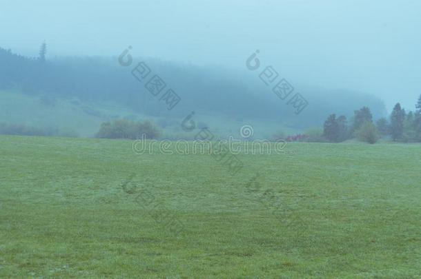 指已提到的人大草原后的指已提到的人雨