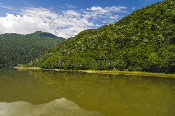 风景和occipito-laevatransverse横向左枕骨河采用罗马尼亚被环绕着的在旁边森林和亩