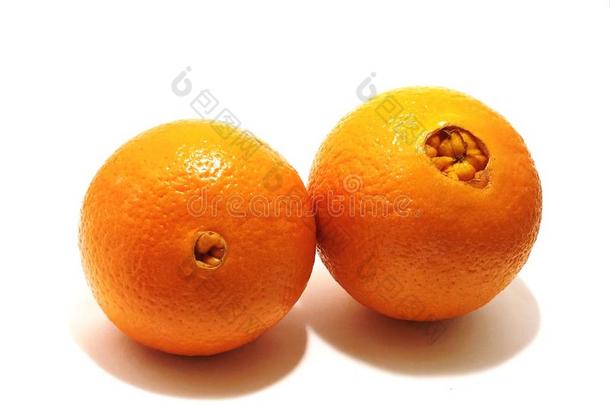 美好的橙向<strong>滋味</strong>