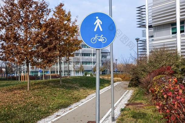 路为步行者和自行车,和煦的：照到阳光的公园