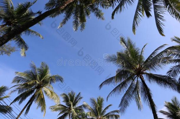 热带的海滩,攀牙,指已提到的人南方关于泰国