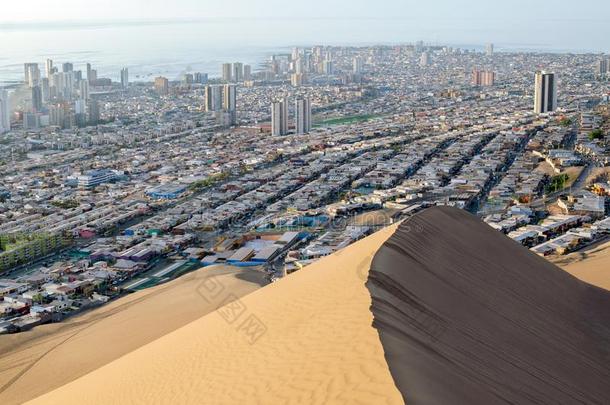 洋在的后面城市在的后面沙沙丘