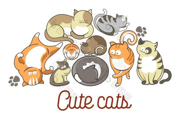 猫使摆姿势漫画漂亮的小猫动物照片海报