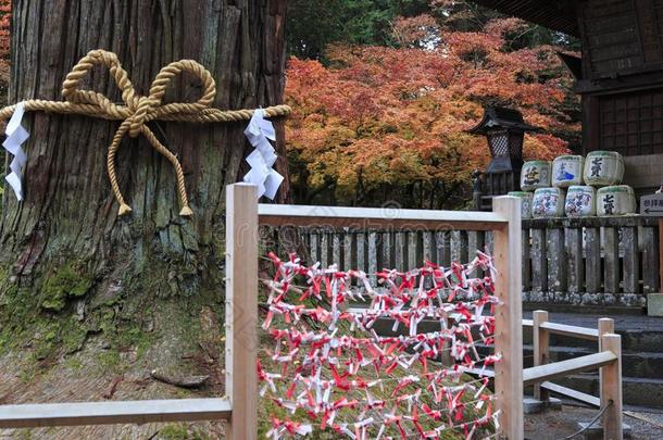 神道教徒庙在下吉田,藤田